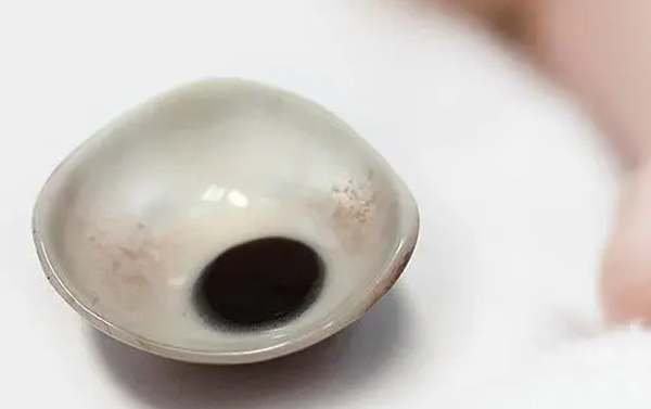 浅析义眼的工作方式